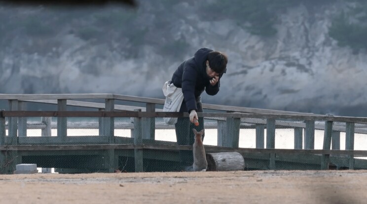 堀田陸容疑者がウサギにニンジンをあげようとしている様子（写真／うさぎ写真家uta）