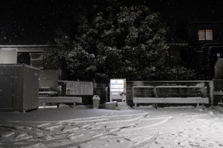 〈大寒波襲来・写真多数〉電車はストップ・渋滞40キロ・タクシー大行列・立ち往生、それでも開いていた牛丼屋に安堵…豪雪の京都ルポ「完全に大雪をなめていました」_23