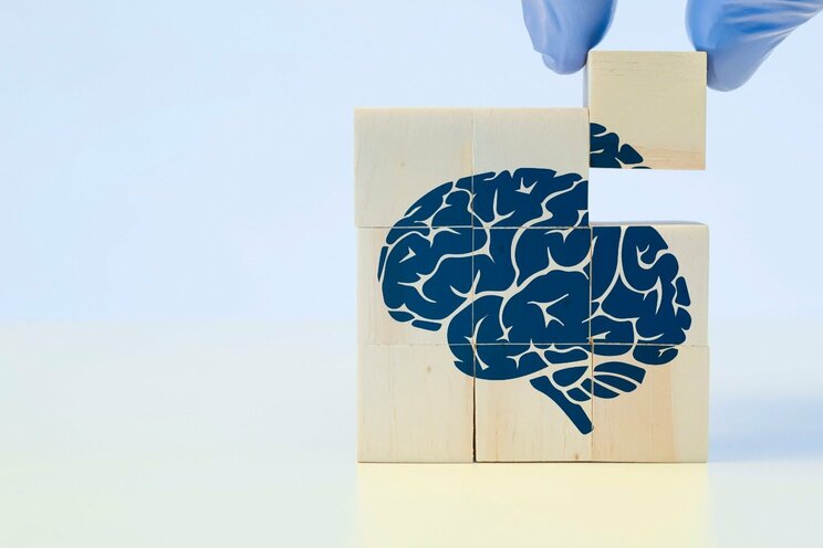 写真はイメージです（写真／Shutterstock）
