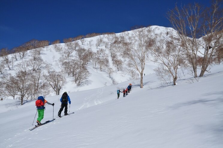 写真はイメージです（写真／PhotoAC）
