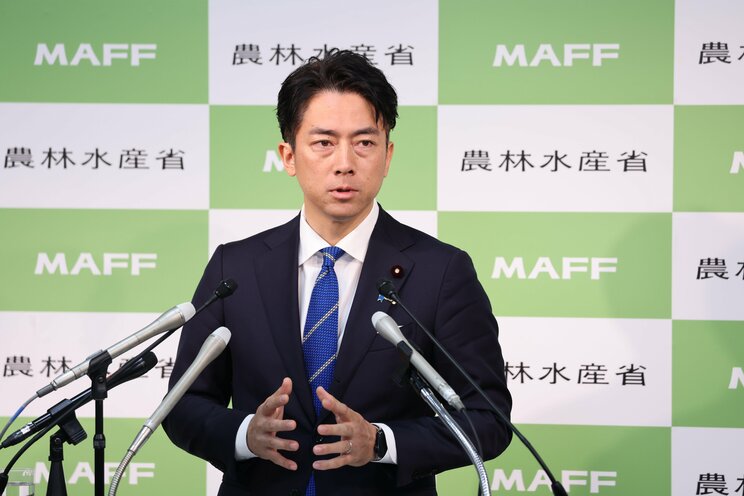 農林水産大臣に就任した小泉進次郎氏