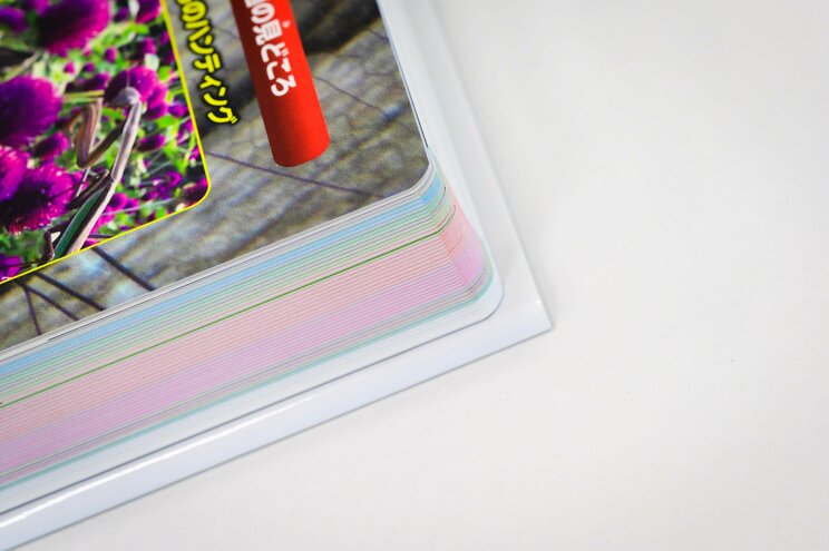 2800種の昆虫を生きたまま撮り下ろし！ 「昆虫図鑑」製作者の執念_7