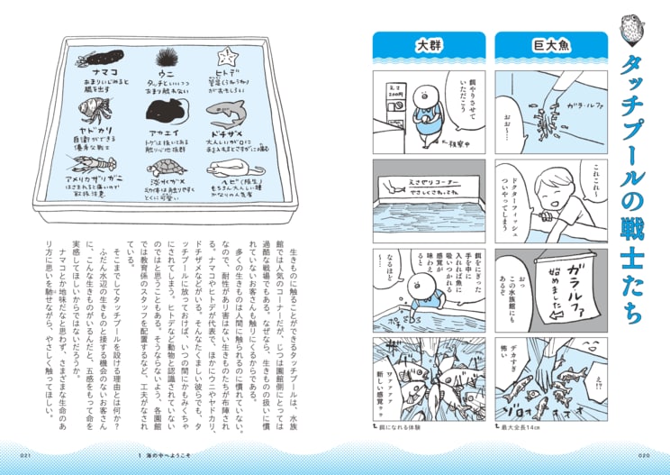 水族館では、生きものに触れる水槽もある。ほかの生きものの「いのち」を体感できる貴重な水槽だ　©なんかの菌／集英社インターナショナル