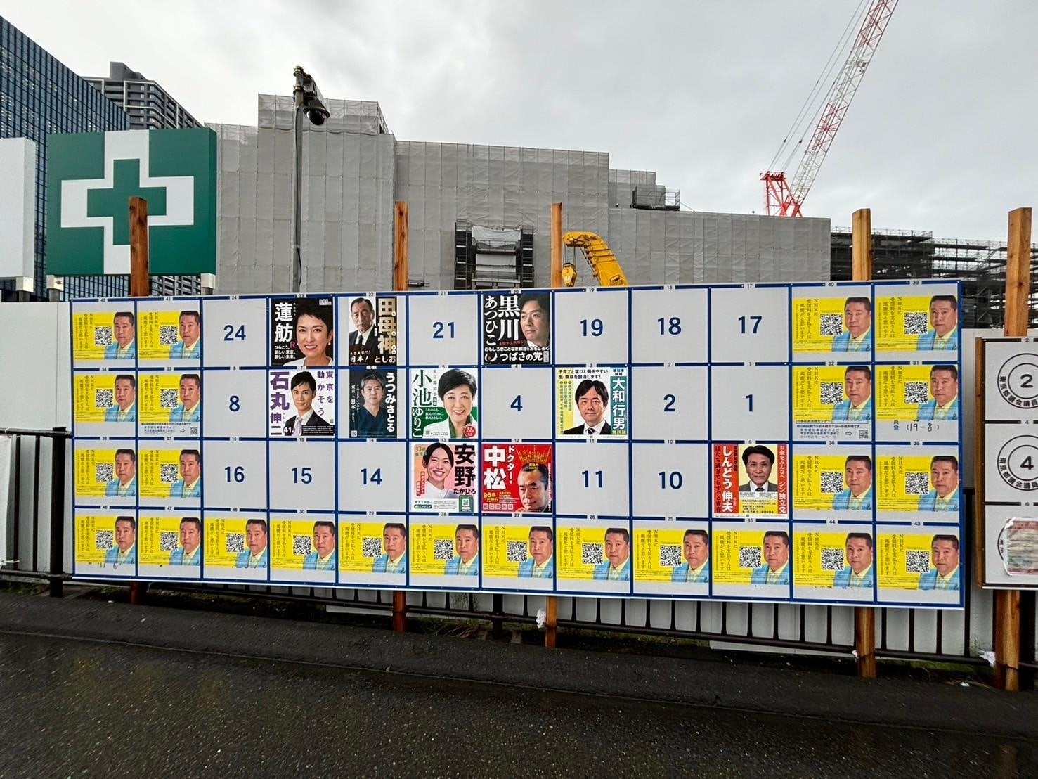 〈カオスすぎる東京都知事選〉ついに脱ぐ女性候補まで現れた！「やりすぎでは？」「選挙をバカにしていませんか？」と本人を直撃「そもそも公約あるん