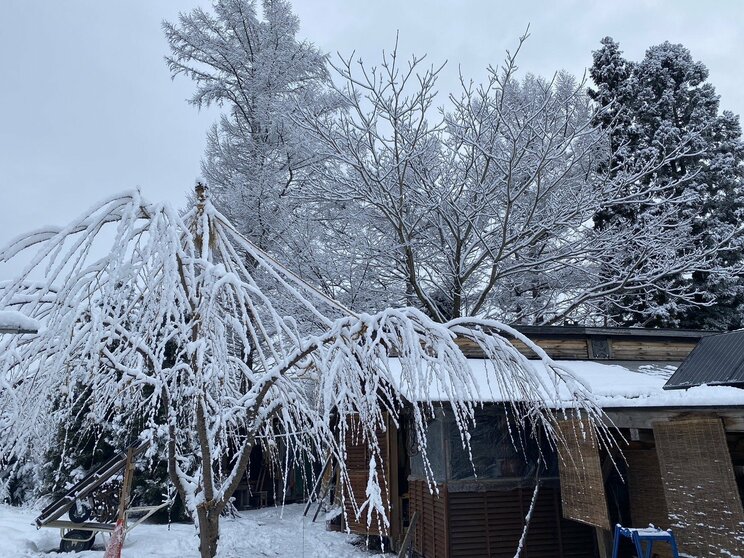 余一さんが自作した家（写真／本人提供）
