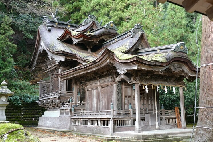 波打つような４層構造の屋根