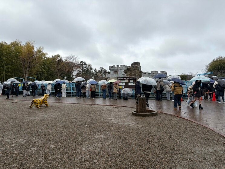 雨の日にもかかわらず多くの人がパンチくんを見にきていた（撮影／集英社オンライン）