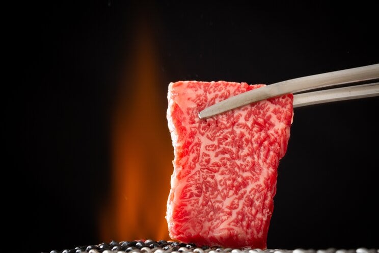 日本人女性はお肉を食べたほうが長生きできる！？　肉類を積極的に摂る女性の死亡リスクが低下していた命に関わる重大な疾患とは_1