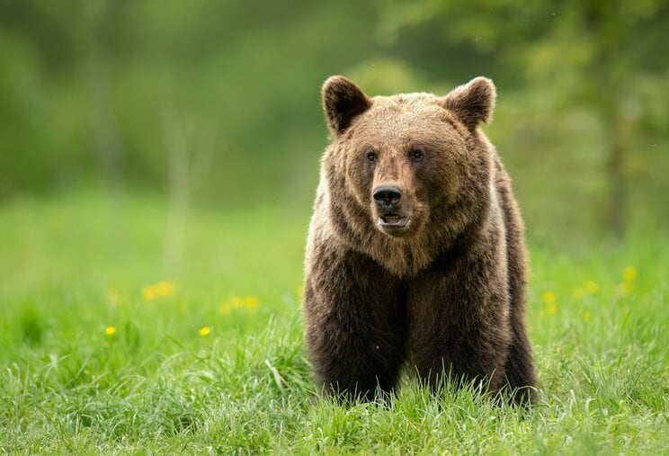 写真はイメージです（写真／Shutterstock）