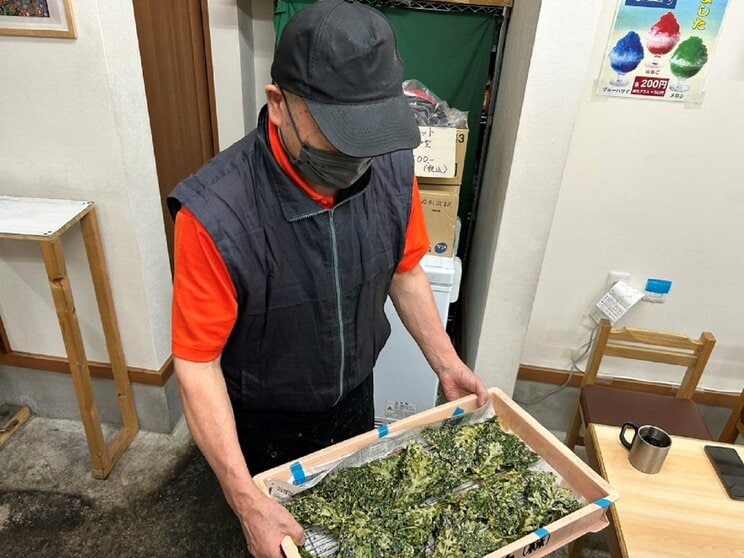 時間と体力を要する名物「春菊天」