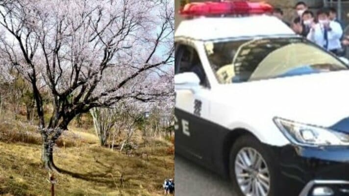 〈花見の名所で女性にガブッ〉「歯がなかったので大きなケガはなく…」かみつき男(89)がパトカー連行中に突然死亡「ツバも吐きつけてきた」…司法解剖の結果は?