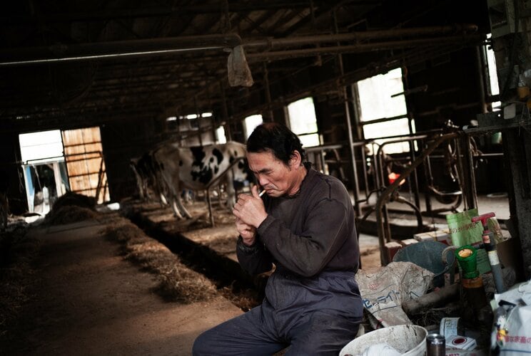 〈東日本大震災から13年〉「元気でないよ」原発事故で飼っていた牛を殺処分した福島県浪江町の酪農家一家は今。別の街に行けば「放射能が来た」と陰口を言われたことも_15