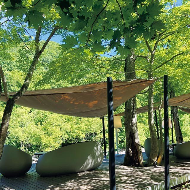 オーガニックな内装の『ウェスティンホテル横浜』ほか、自然を満喫できるホテル_12