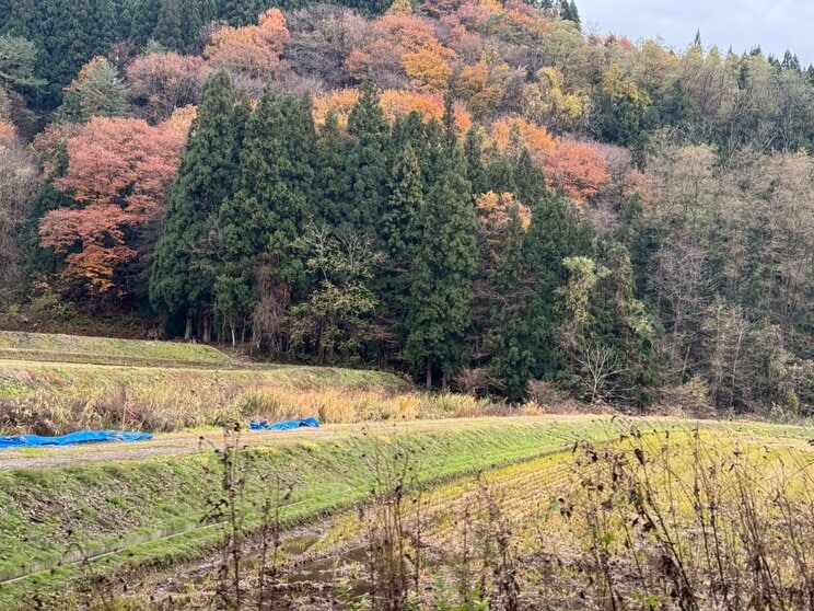 鹿角市（撮影／集英社オンライン）