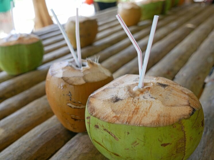南国の定番「ココナッツ」の中身は刺身のイカ!?（写真／PhotoAC）