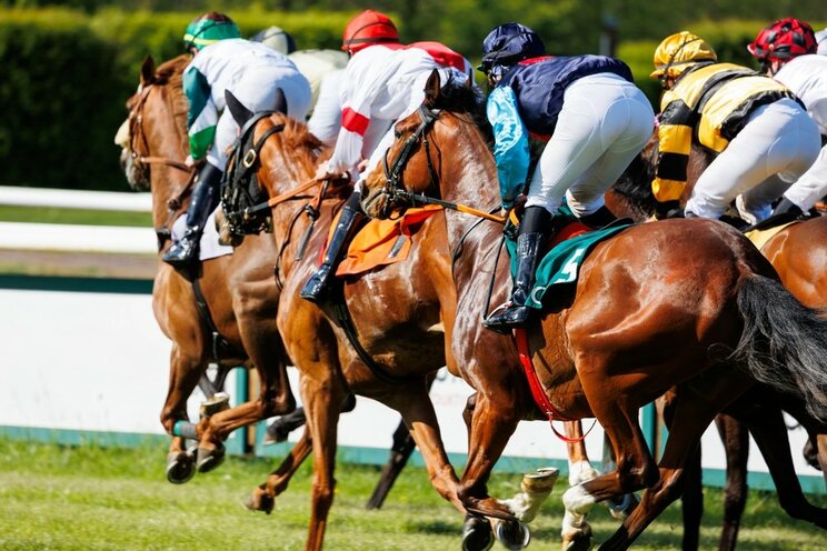 競馬を日曜劇場のテーマに（画像はイメージです/ Shutterstock）