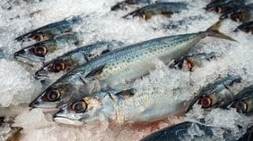 【記録的なサバ不漁で起きた“サバ缶ショック”】なぜサバ缶はツナ缶を超えて魚缶売上ナンバーワンになったのか?