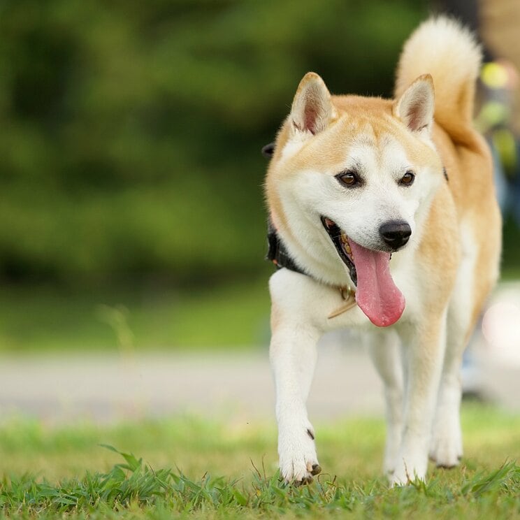 写真はイメージです（写真／PhotoAC）
