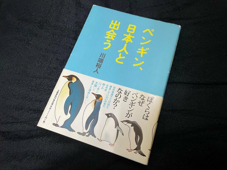 日本人とペンギンの関係から見る「ドンキのペンギン」の姿_b