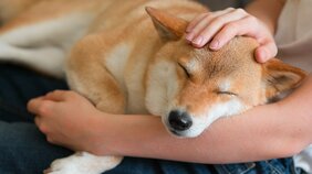 誰だって心配事があるときには眠れないもの。スーパーマンではない自分を受け入れることで手に入れられるもの