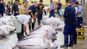 「中国の富裕層がマグロの旨さに気づいてしまった…」新興国の経済成長で加速する世界食糧争奪戦の中、日本が次に買い負けする食品は…
