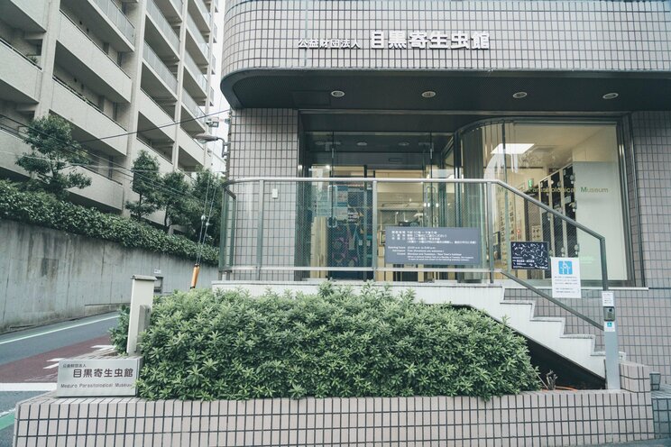 ビル・ゲイツもご購入！　目黒寄生虫館のミュージアムグッズ人気TOP5_7