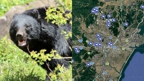 〈クマ出没警報も発令〉「冬眠明けはガリガリに痩せているはずですが…」体重125キロのクマが市街地に「麻酔銃、電気ヤリで駆除」岩手では早くも犠牲者か…相次ぐクマ被害2026 