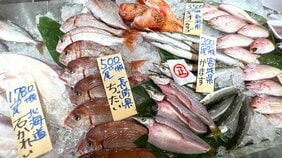 世界ダントツ1位! 年間約3800億円の取扱金額を誇る豊洲市場はなぜ国内外の人々をここまで魅了するのか