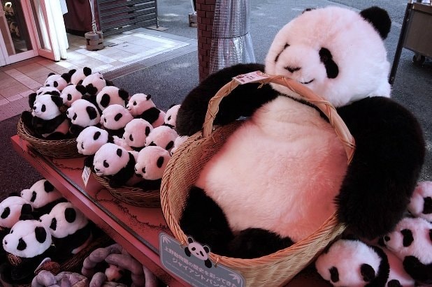 7月25日、上野動物園内の売店で売られているパンダのぬいぐるみ（撮影／集英社オンライン）