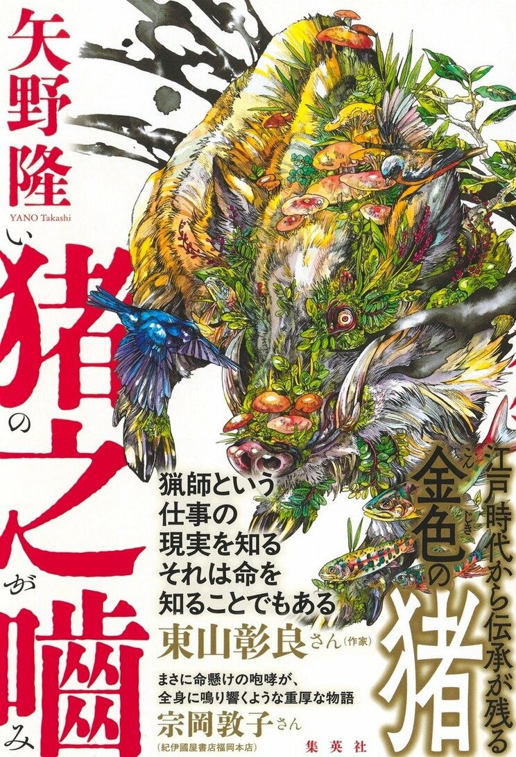 猪之噛
著者：矢野 隆
定価：2,420円（10％税込）