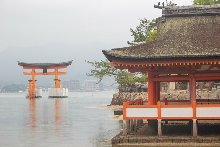 神社に「呼ばれている人」「拒まれている人」に起こること——雨、風、動物が伝える相性のサイン_1