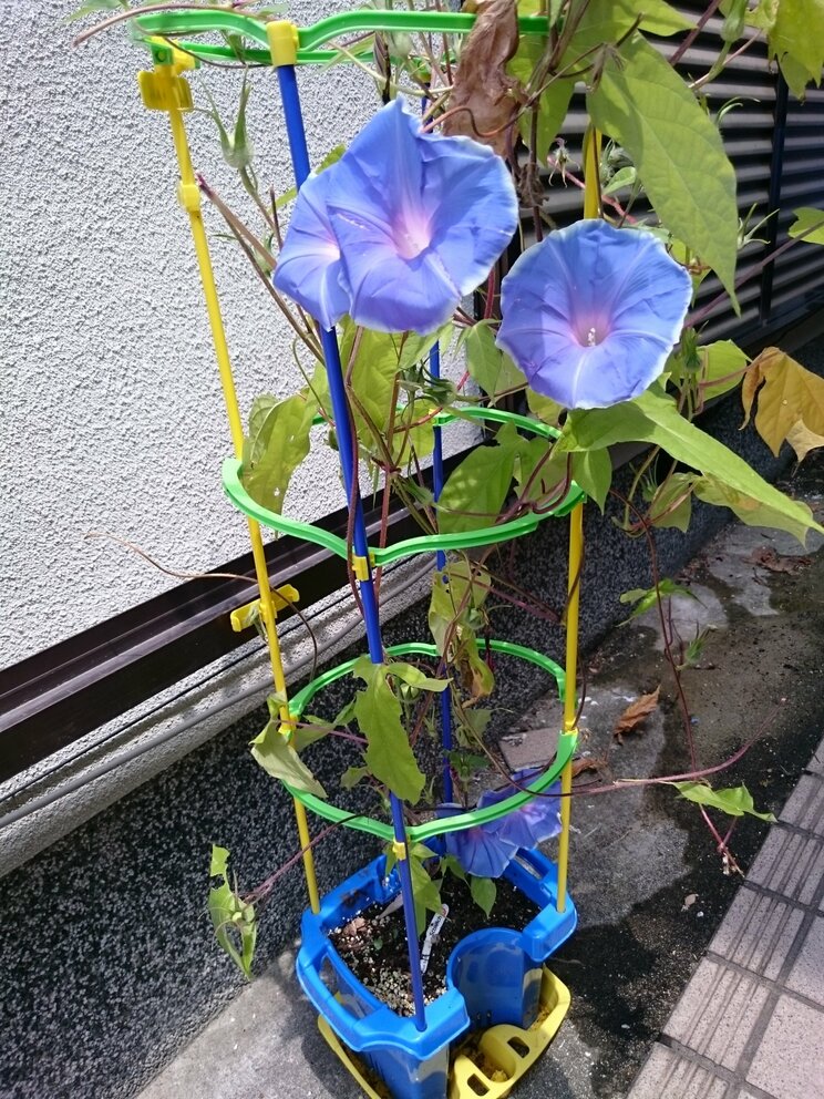 写真はイメージです（写真／PhotoAC）