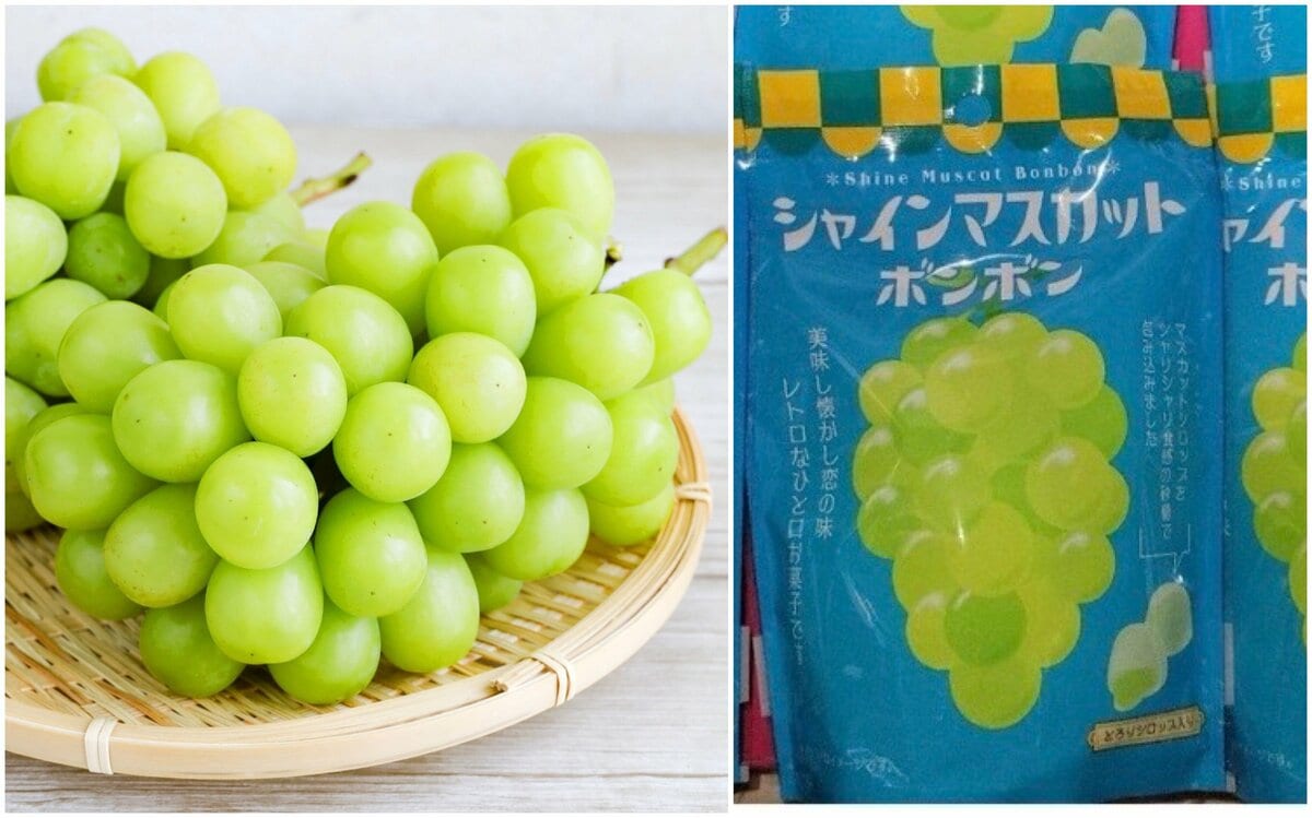 img_0e3690c12c80d876a82ec71dc9