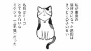 【保護ネコ漫画あり】SNSで話題。著者が保護活動を続ける理由となったミケジョ(三毛猫)のミーコが教えてくれた命の大切さ