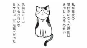 【保護ネコ漫画あり】SNSで話題。著者が保護活動を続ける理由となったミケジョ(三毛猫)のミーコが教えてくれた命の大切さ