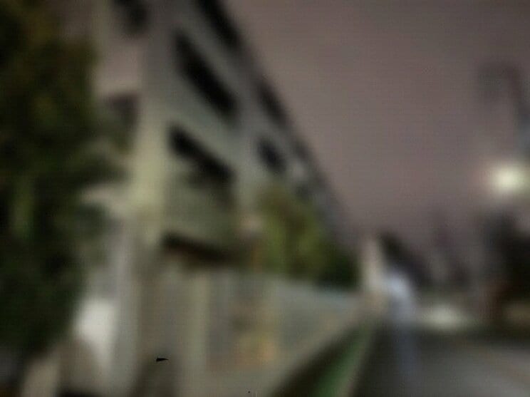 田野容疑者の自宅(撮影/集英社オンライン)