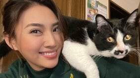 【猫の日】無責任な飼育放棄に「アクセサリー感覚とかノリや勢いで飼わないで」。ペットの保護猫20匹に“貢ぐ“青山めぐが語る、特大の愛情と飼い主の責任