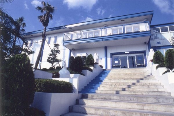 「ねこの博物館」(公式ホームページより)