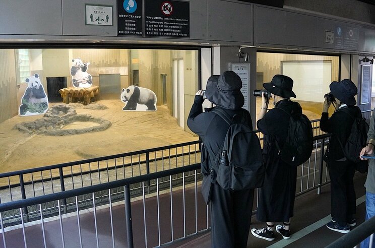 「クマだろ」「なんでその動物にこだわるの」…“アンチ中国” 石原慎太郎が最後は上野パンダ復活を後押しした舞台裏_13