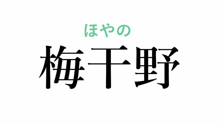 三浦という苗字の起源は鎌倉から。『鎌倉殿の13人』の舞台・神奈川県の難読名字クイズ_11