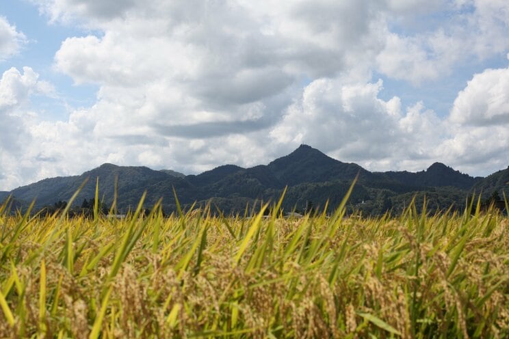 秋の秋田県大仙市の風景（PhotoAC）