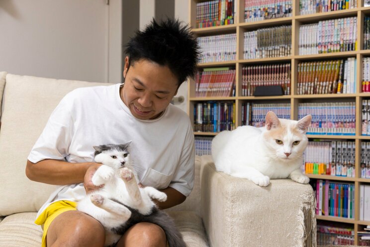 1匹でも不幸な猫をなくしたい。サンシャイン池崎のジャスティスな保護猫との暮らし。_8