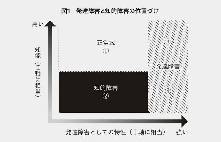 「やっぱ無理！」が口癖の男児に下された”軽度知的障害”の診断…発達障害の影に隠れる子どもの知的障害をみわける３つのポイント_3