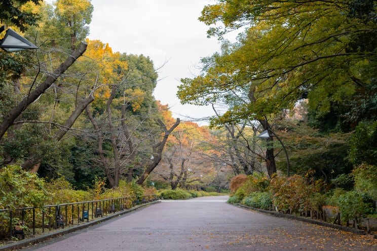 上野公園（写真／Shutterstock）