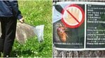 〈公園でセミ乱獲の外国人〉「幼虫を採取しないで！」注意しても「ナニ言ッテルカ、ワカラナイー」ペットボトルに大量に詰めて…専門家は「中国でセミは郷土の味、高潔のシンボル」 
