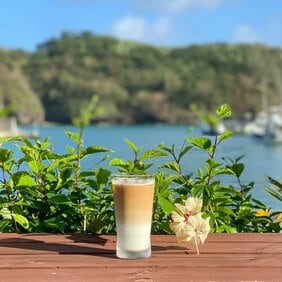 【今日も世界のどこかでひとりっぷ®】片道26時間！ 東京最南端カフェに行ってきました〜〜〜！