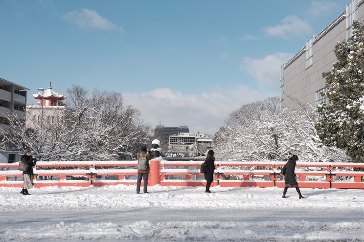 〈大寒波襲来・写真多数〉電車はストップ・渋滞40キロ・タクシー大行列・立ち往生、それでも開いていた牛丼屋に安堵…豪雪の京都ルポ「完全に大雪をなめていました」_43