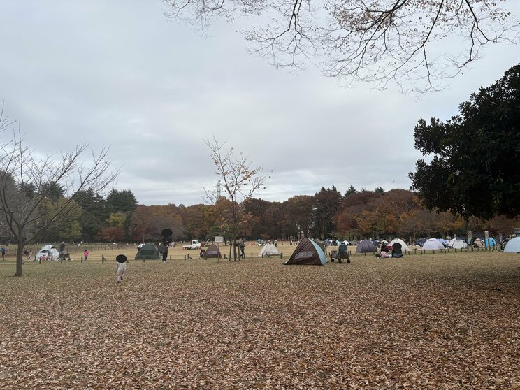 家族連れが目立つ原っぱ（写真／集英社オンライン）