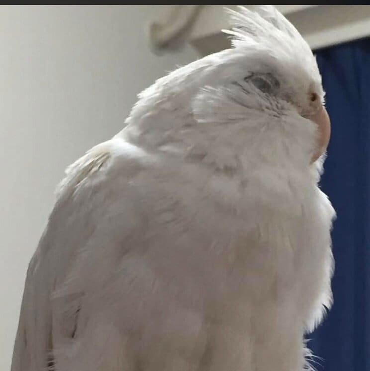 〈大田区・会社社長殺人〉玄関は施錠され密室…70人の従業員を抱える港区の社長の首、顔など10か所以上の刺し傷「爽やかなおじさん」非常階段で“不審者”目撃情報も_11