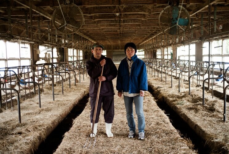 〈写真で振り返る東日本大震災〉「牛、殺してから行くっぺ」原発事故により乳牛を置いていかざるを得なかった福島県浪江町の酪農家夫婦の決断。それでも牛を忘れられず…_6